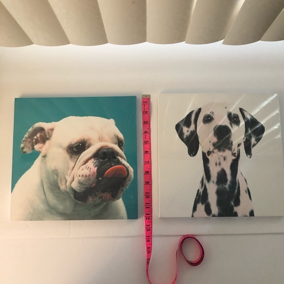 12” x 12” Dog Canvas Art Print Lot of 2 - Picture 2 of 10
